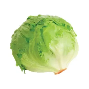 خس 1 حبة 1 حبة