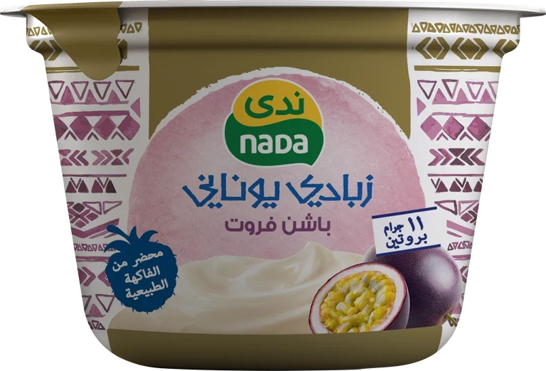 ندى زبادي يوناني باشن فروت 160 جم 160 جم - ندى