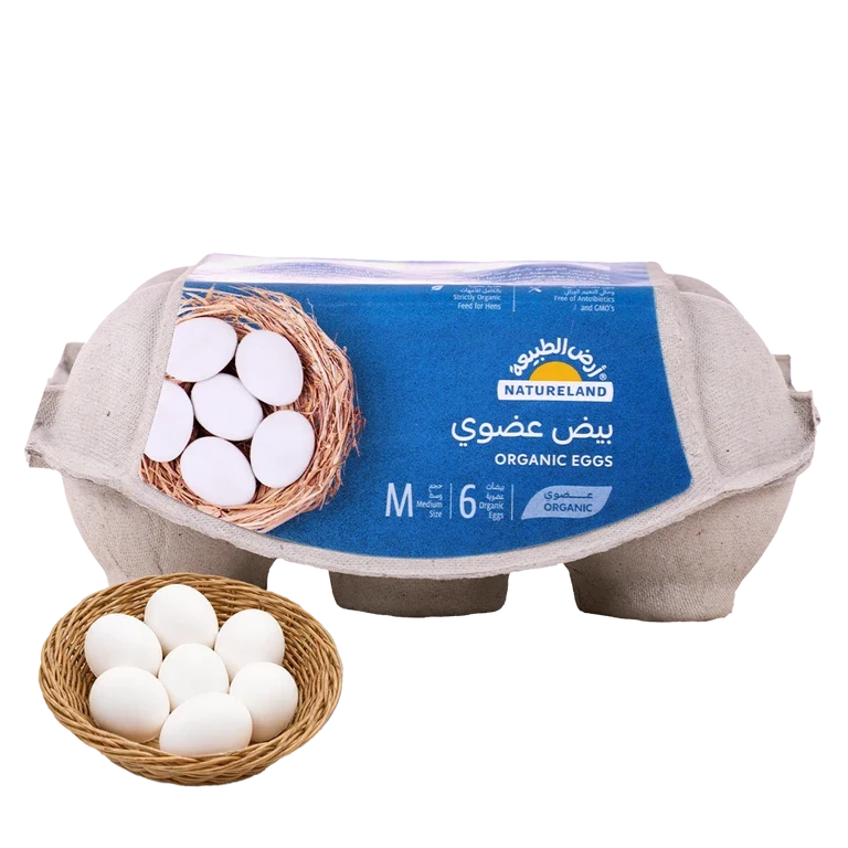 أرض الطبيعة بيض عضوي 6 حبات 6 حبة - أرض الطبيعة