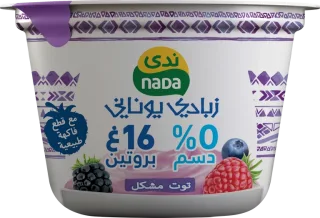 ندى زبادي يوناني توت مشكل 0% دسم 160 جم 160 جم