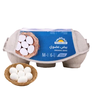 أرض الطبيعة بيض عضوي 6 حبات 6 حبة