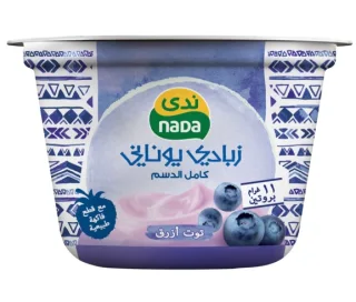ندى زبادي اليوناني كامل الدسم بالتوت الازرق 160 جم 160 جم