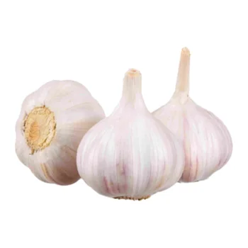 ثوم طازج 1 كجم 1 كجم