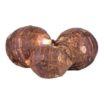 قلقاس طازج 1 كجم 1 كجم