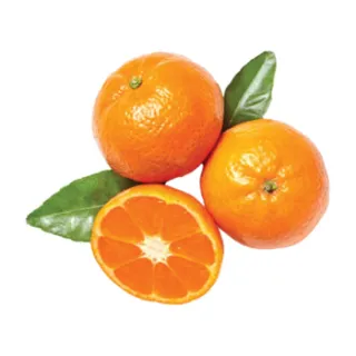 كلمنتينا 1 كجم 1 كجم